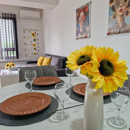 Sunflower Center With Free Garage Skopje