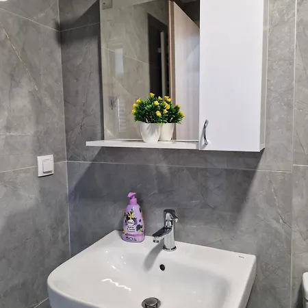 Sunflower Center With Free Garage