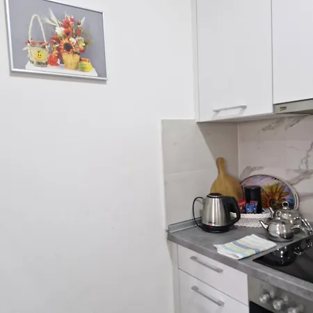 Apartment Sunflower Center With Free Garage *