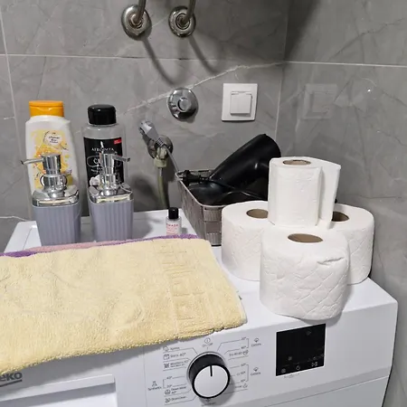 Apartment Sunflower Center With Free Garage *