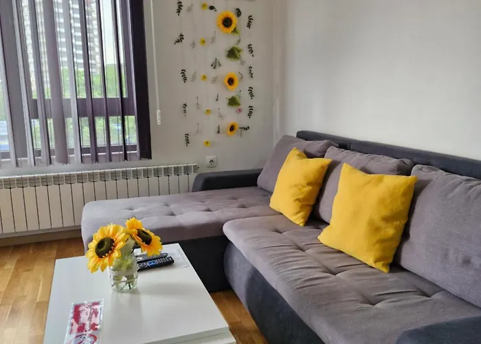 Sunflower Center With Free Garage * Skopje