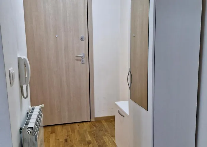 Sunflower Center With Free Garage * Skopje