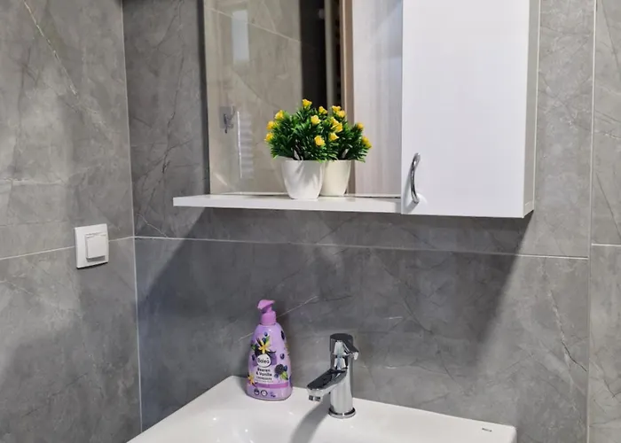 Sunflower Center With Free Garage