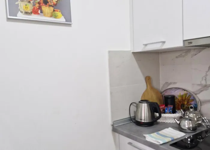 Apartment Sunflower Center With Free Garage *