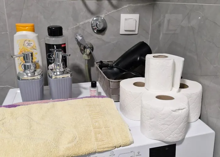 Apartment Sunflower Center With Free Garage *